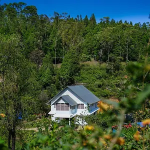 https://oyo-23399-home-sky-lark.hotels-munnar.com